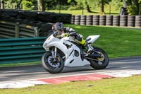 cadwell-no-limits-trackday;cadwell-park;cadwell-park-photographs;cadwell-trackday-photographs;enduro-digital-images;event-digital-images;eventdigitalimages;no-limits-trackdays;peter-wileman-photography;racing-digital-images;trackday-digital-images;trackday-photos